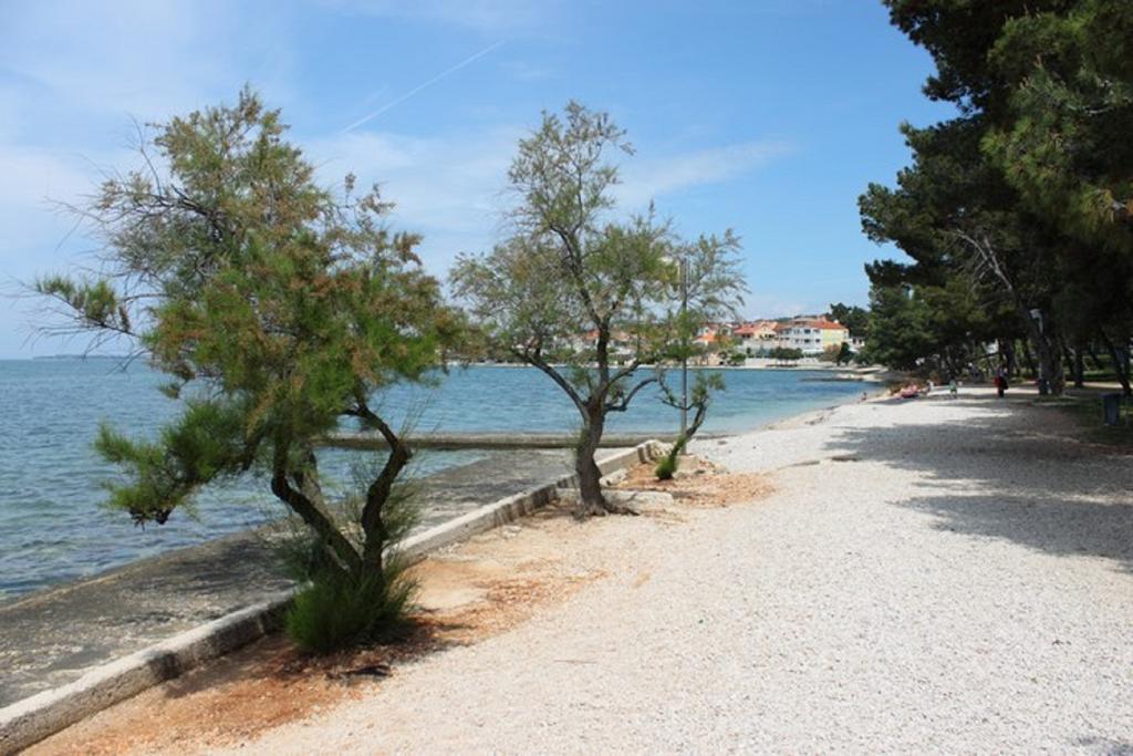 Guesthouse Baric Zadar Zewnętrze zdjęcie